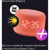 Вид 9